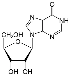 Inosine supplement powder